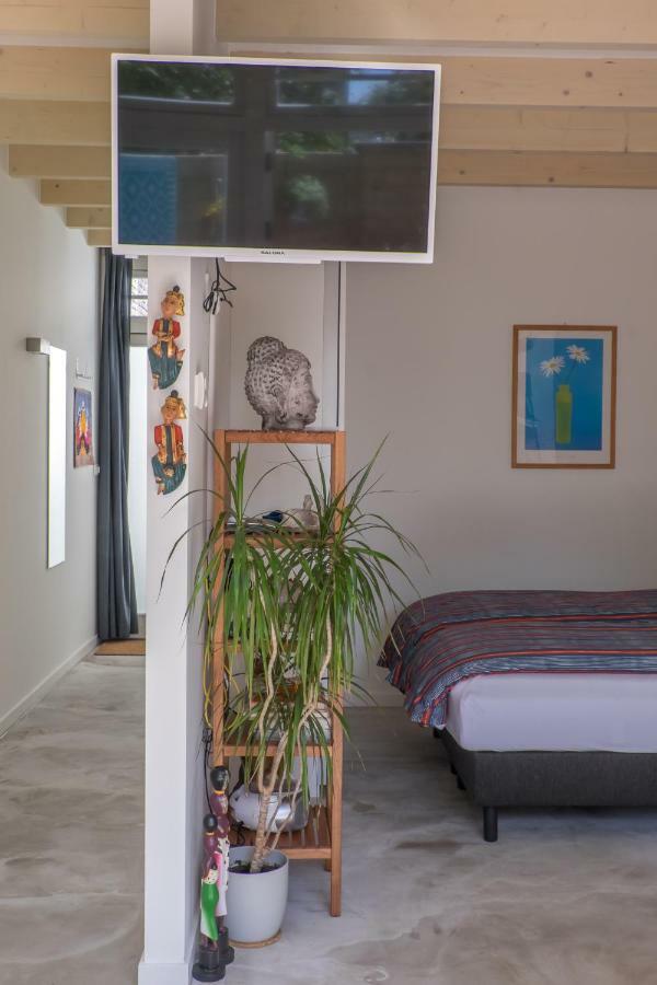 South With Garden And Free Parking Zandvoort