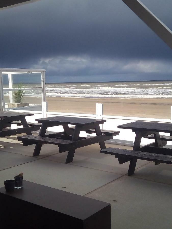 South With Garden And Free Parking * Zandvoort